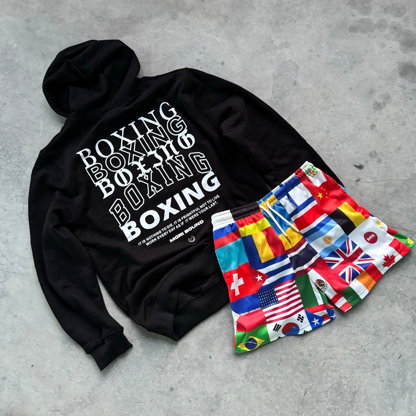 Fighter's World V2 Shorts