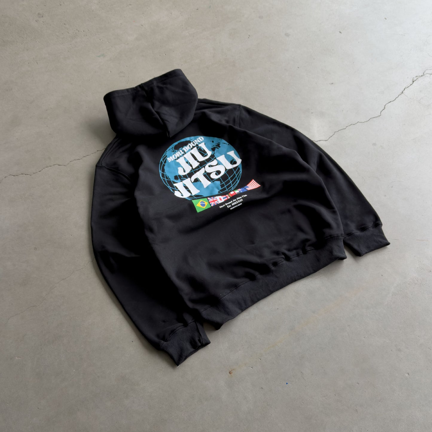 Jiu Jitsu World Hoodie