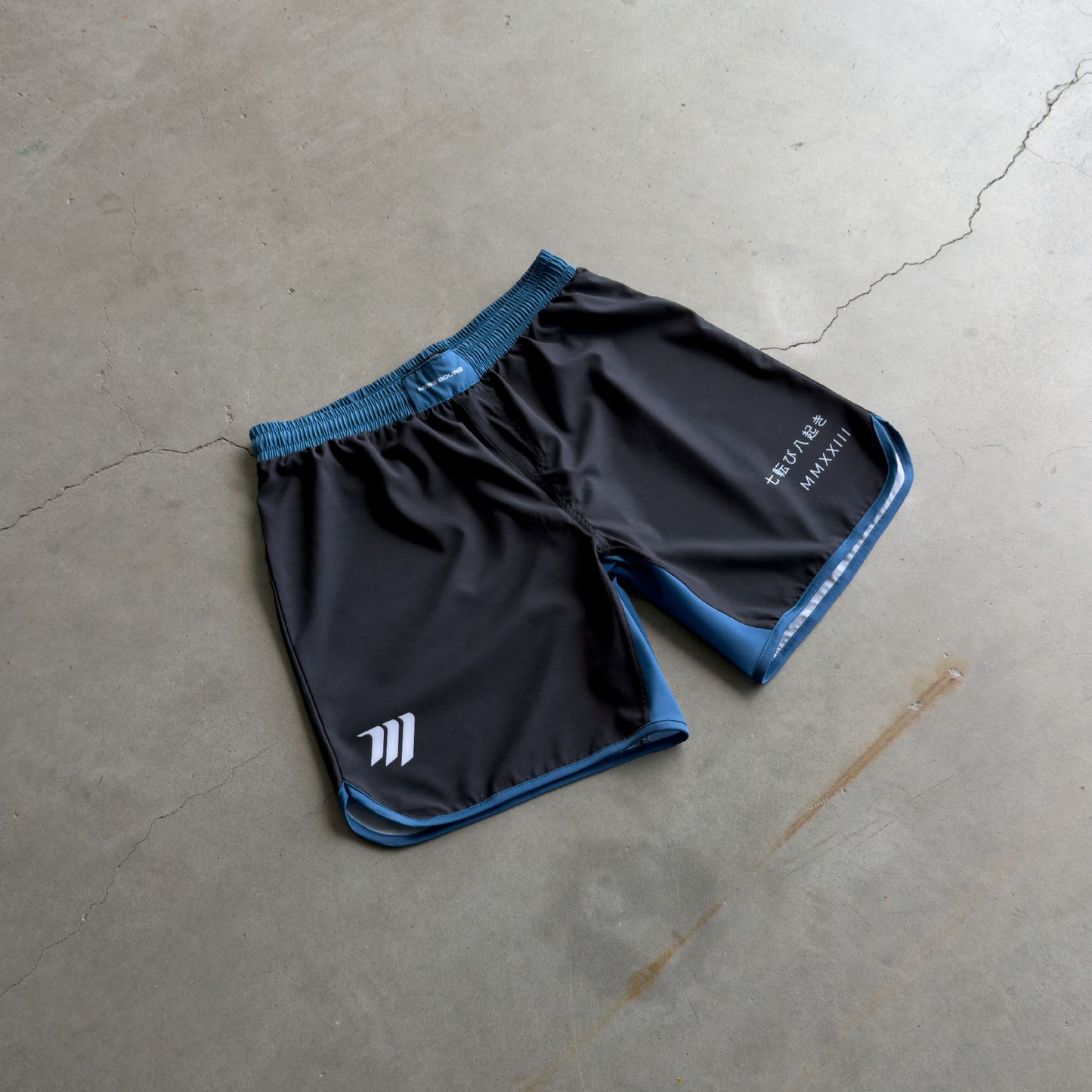 Ice Grappling Shorts